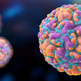Why Isn’t There a Cure For the Common Cold?