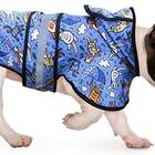 Cartoon Dog Raincoat