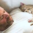 Kitten Decides His Dad Is God
