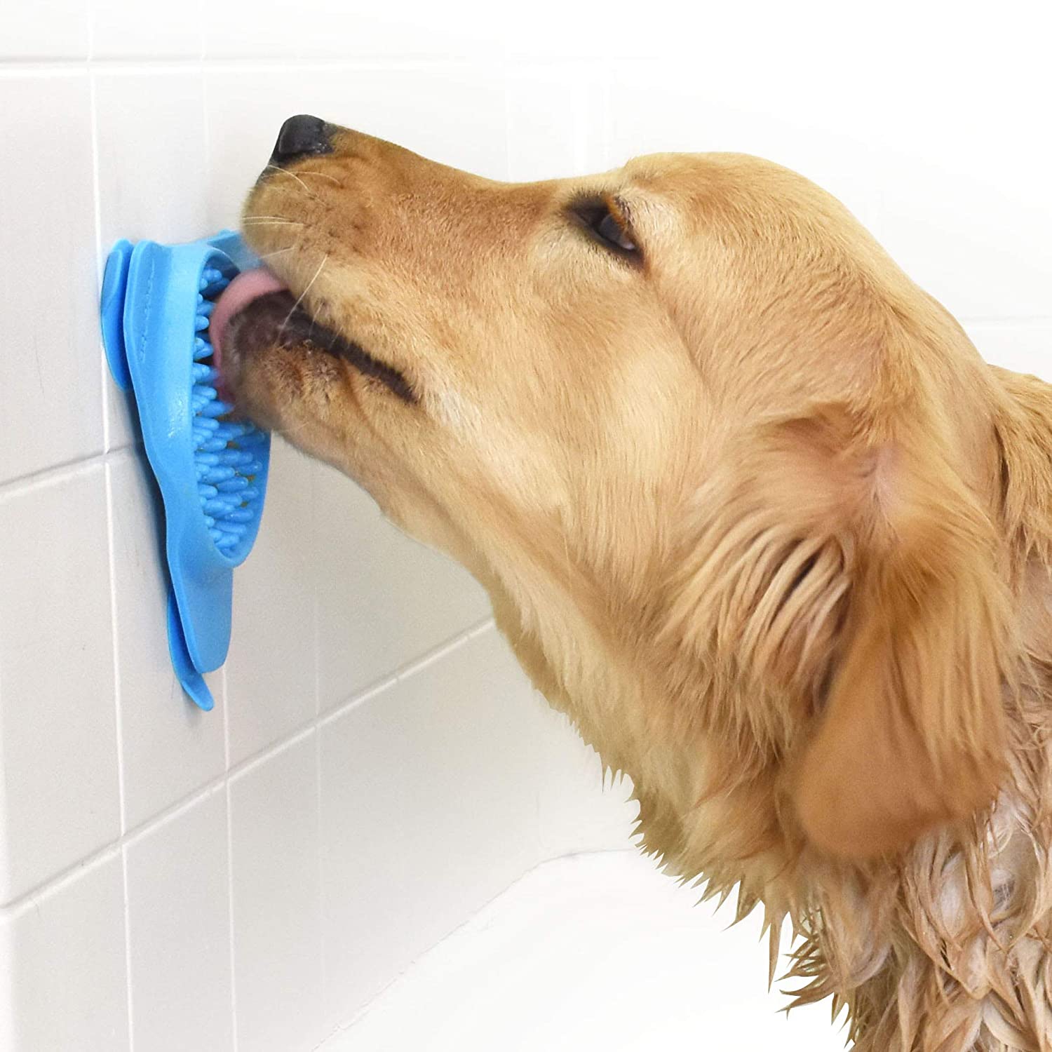 Peanut butter holder shop for dog bath