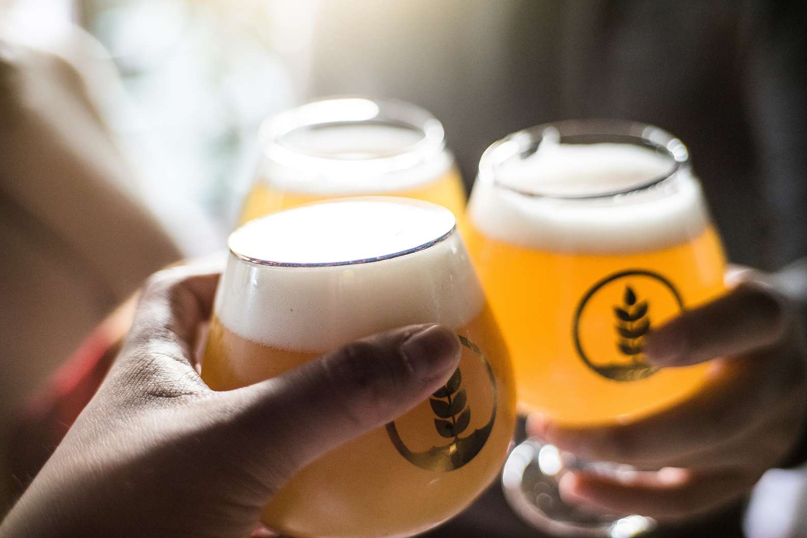 Pure Project Brewing