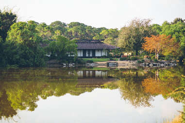 Morikami Museum and Gardens