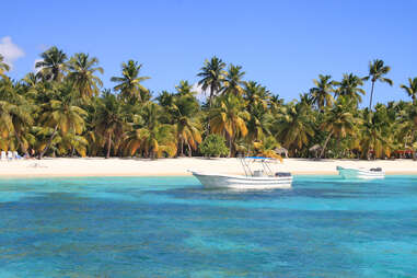 a boat near a white sand beach lined by palm trees