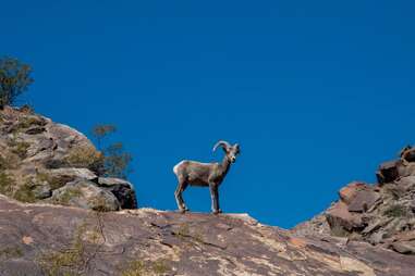 Indian Canyons & Tahquitz Canyon