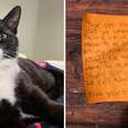 Cat Comes Home With A Note On His Collar And It Starts The Sweetest Friendship