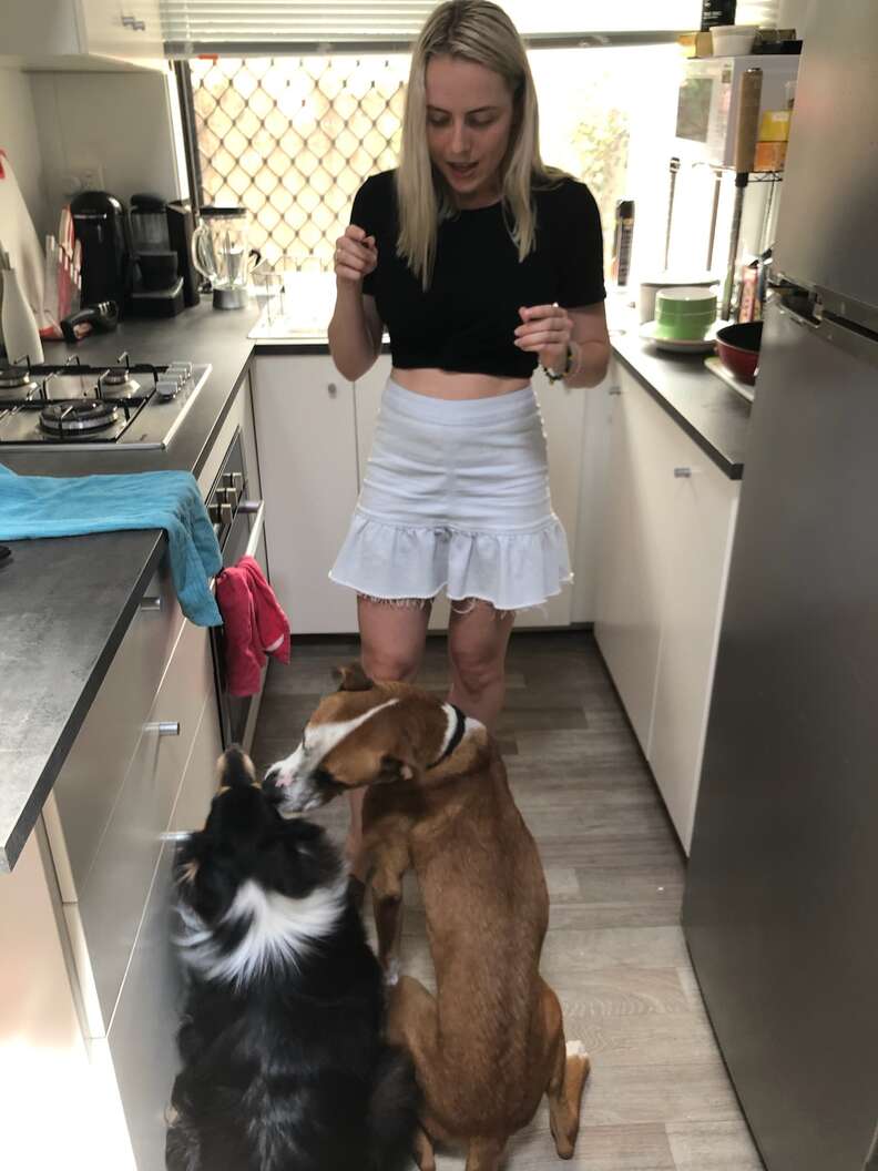 dogs get treats together