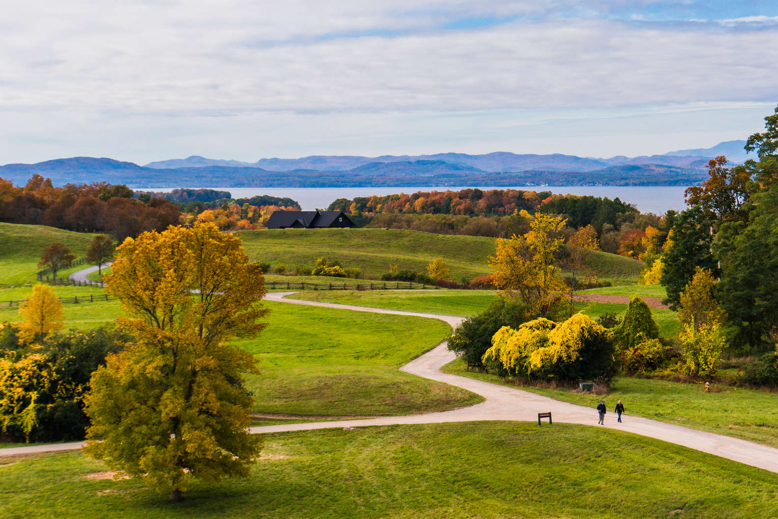 vermontalm / shutterstock