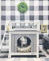 cat room