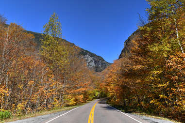 a road leading through fall trees