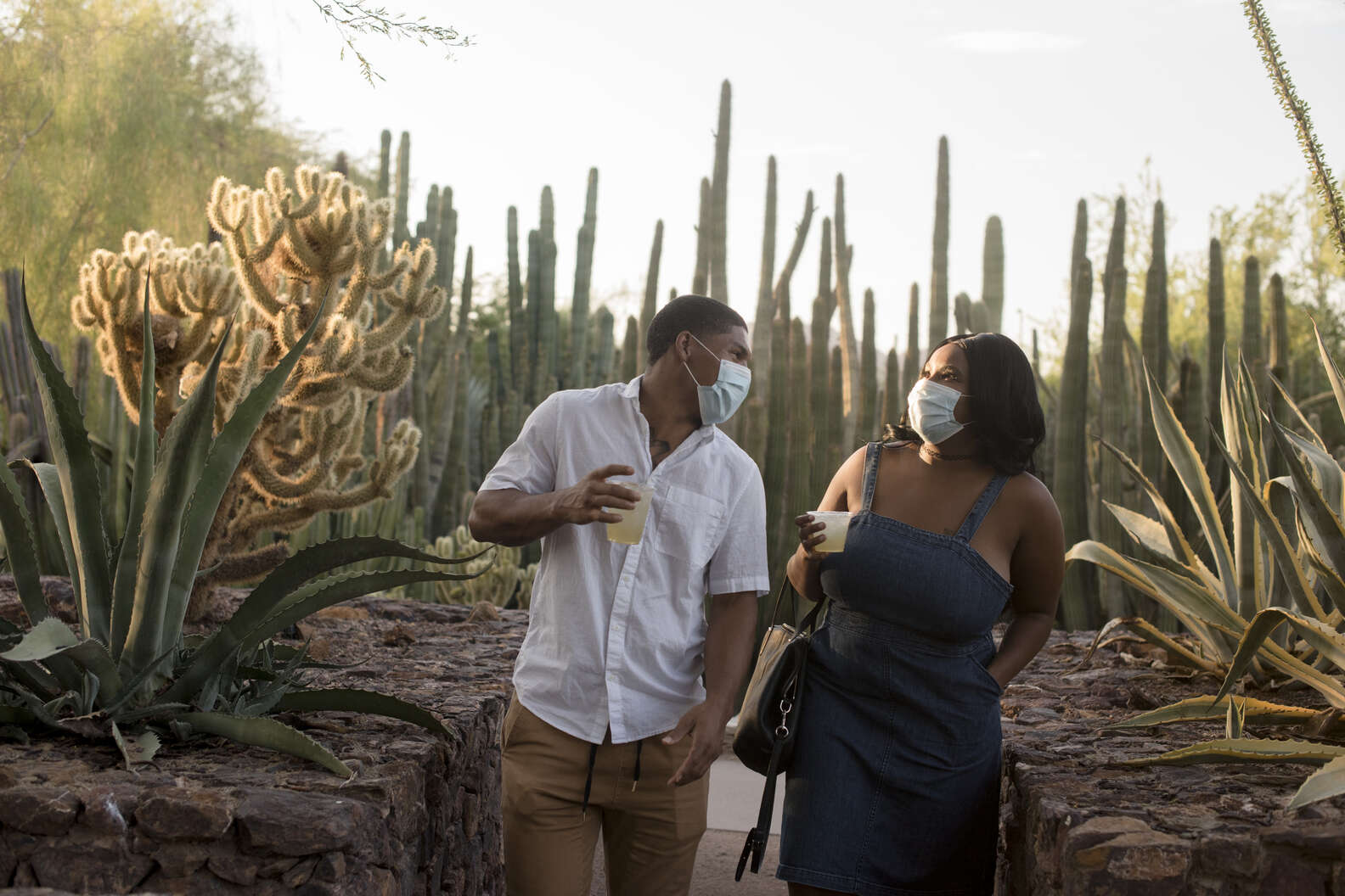 Photo courtesy of Desert Botanical Garden