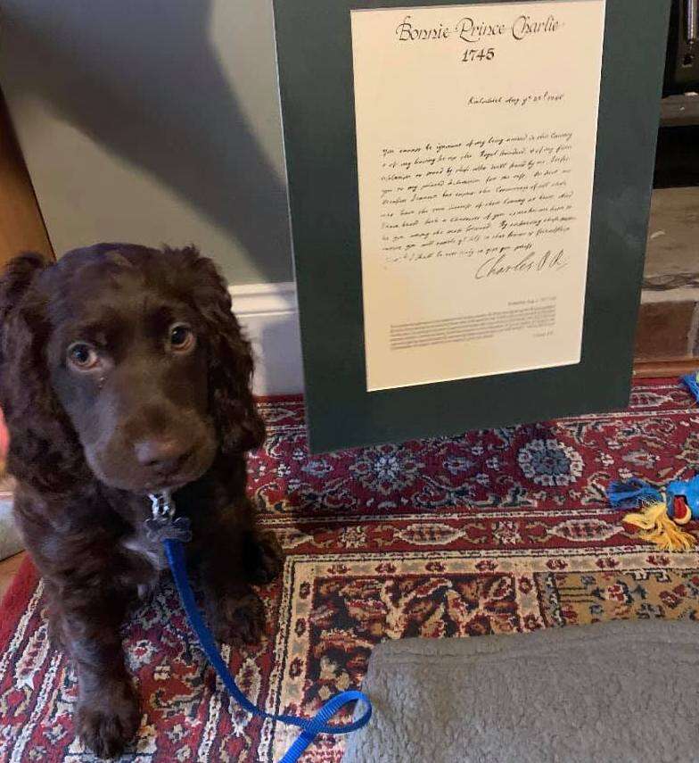 Dog buys print of historic letter with his butt