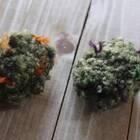 Catnip Weed Nug Toy