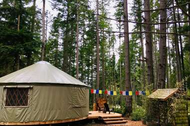 Forest Yurt Nature Retreat on Whidbey Island