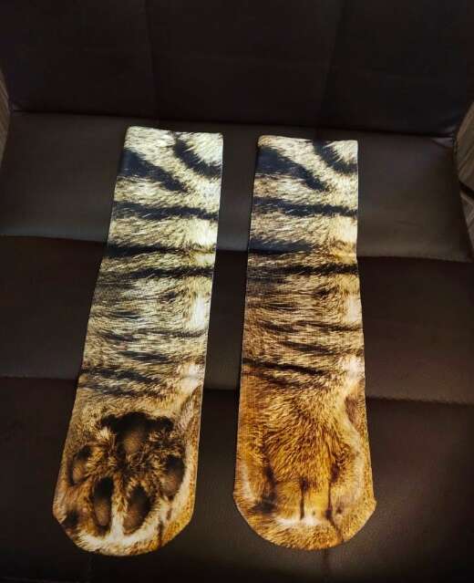 Dad buys socks that look like cat paws