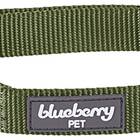 Blueberry Pet Essentials 20+ Colors Classic Dog Collars