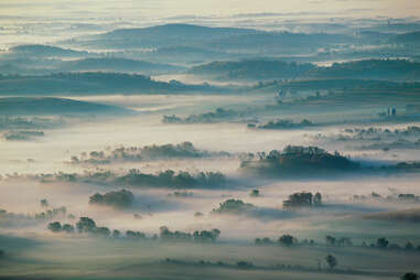 Fog-covered farmland