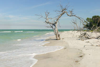 cayo costa island