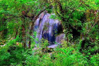 Gorman Falls