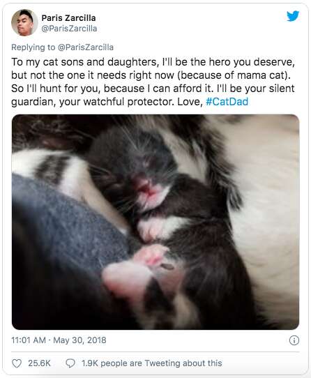 Guy Who Didn't Plan On Being A Cat Dad Returns With The Most Adorable Update