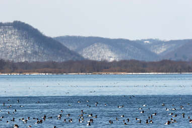 Iowa driftless area