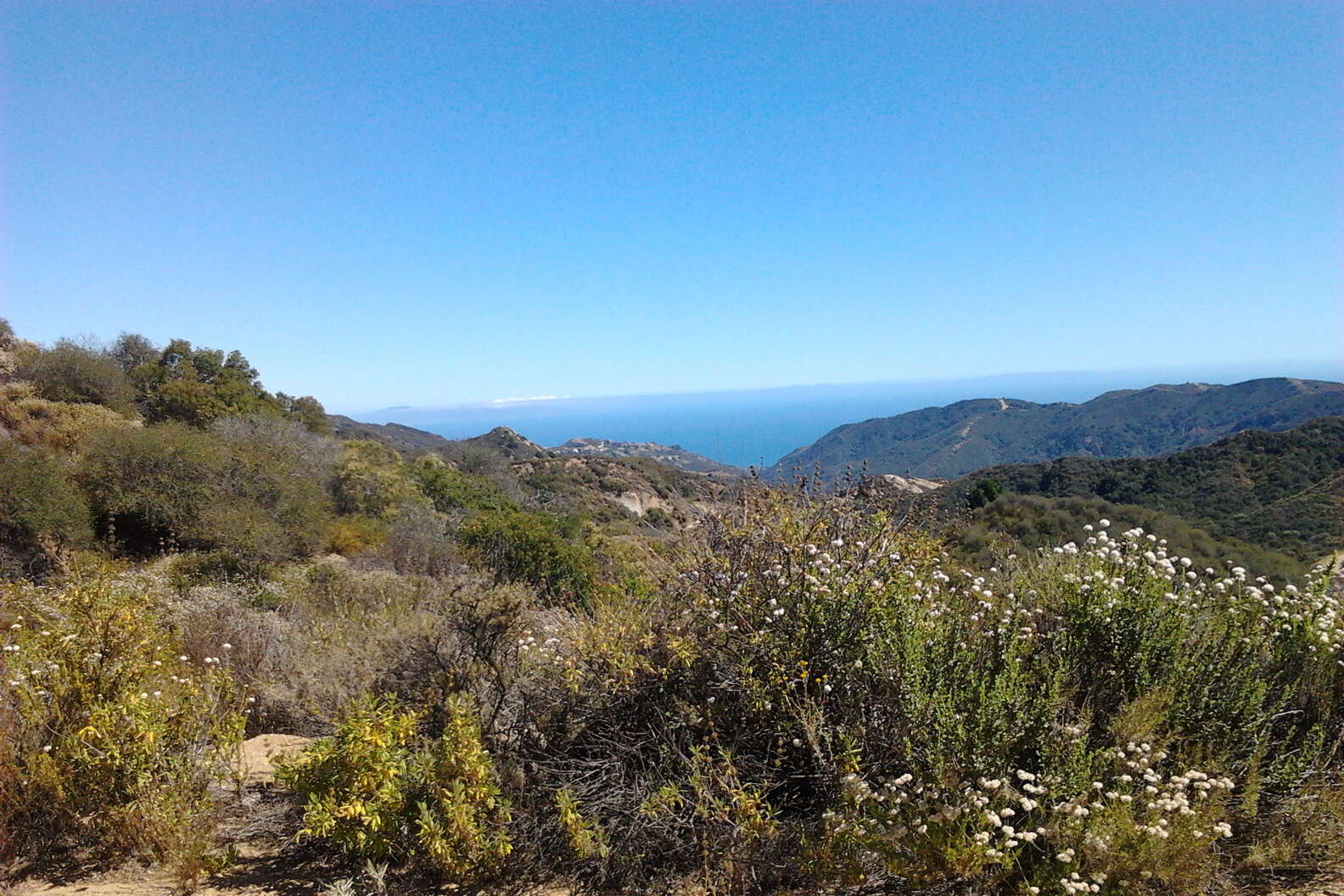 Best Hikes in LA: Secret Trails & Beautiful Parks Besides Runyon Canyon ...