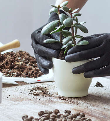 16 Eco-Minded Gifts for Plant Parents