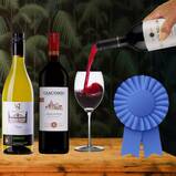 Best of 2020 Wines: 18 Top Rated Wines Case