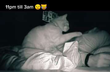 Woman films her cat waking her up at night