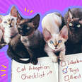 checklist for adopting cats
