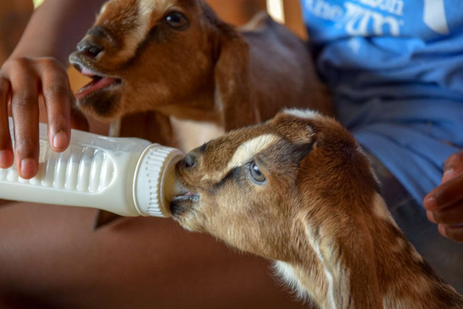 Courtesy of Bonton Farms