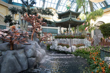 Bellagio's Conservatory & Botanical Garden