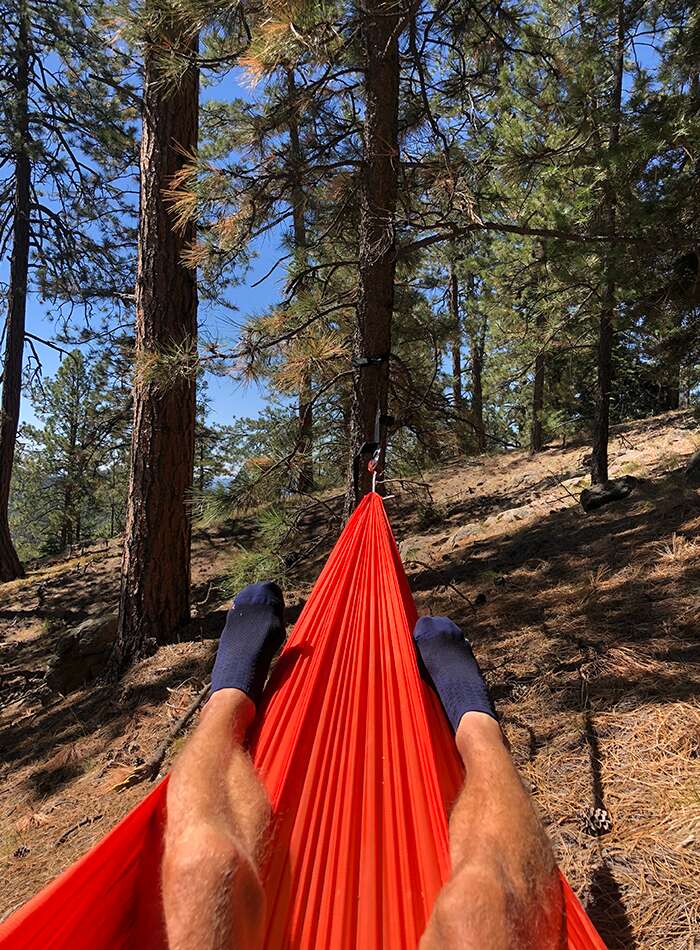 hammock