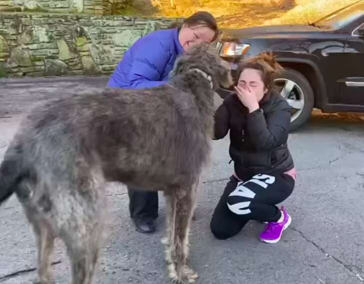 Woman cries when reunited with lost dog