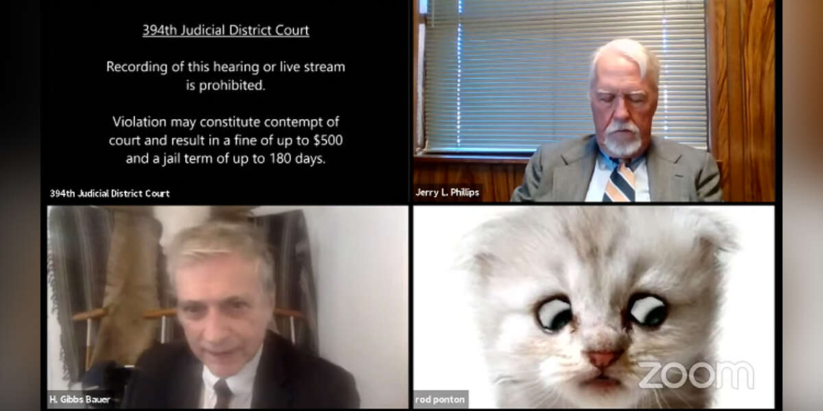 Lawyer Accidentally Joins Court Zoom Call As A Kitten ...