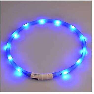 LED Dog Collar That Fits Small, Medium and Large Dogs