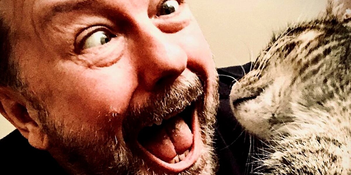 Watch Ricky Gervais Fall In Love With His Foster Cat - Videos - The Dodo