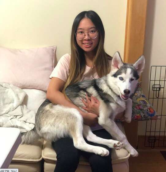 Blind husky deals