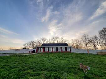 dog sanctuary