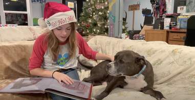 dog gets a bedtime story