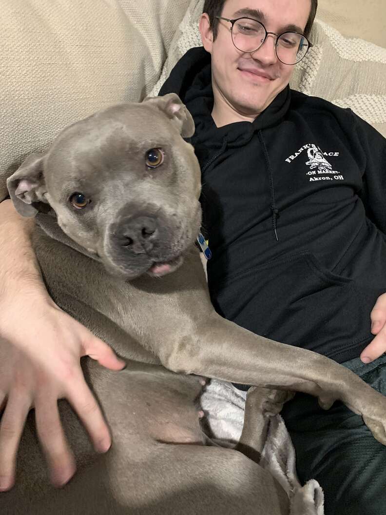 dog cuddles dad