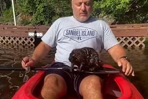 Rescued Beaver Loves Kayaking With His Family 