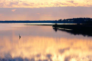 Blackwater National Wildlife Refuge