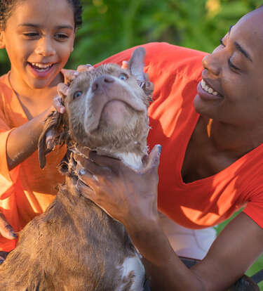 Essential Grooming Products For New Pet Parents