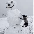 Dog Meets A Snowman And Refuses To Leave Without His Arm