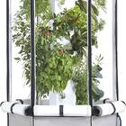 Aerospring Indoor Hydroponic System: Tower, Tent, LEDs, and Fan