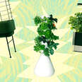 How to Easily Grow Flourishing Veggies & Herbs Indoors, According to a Pro