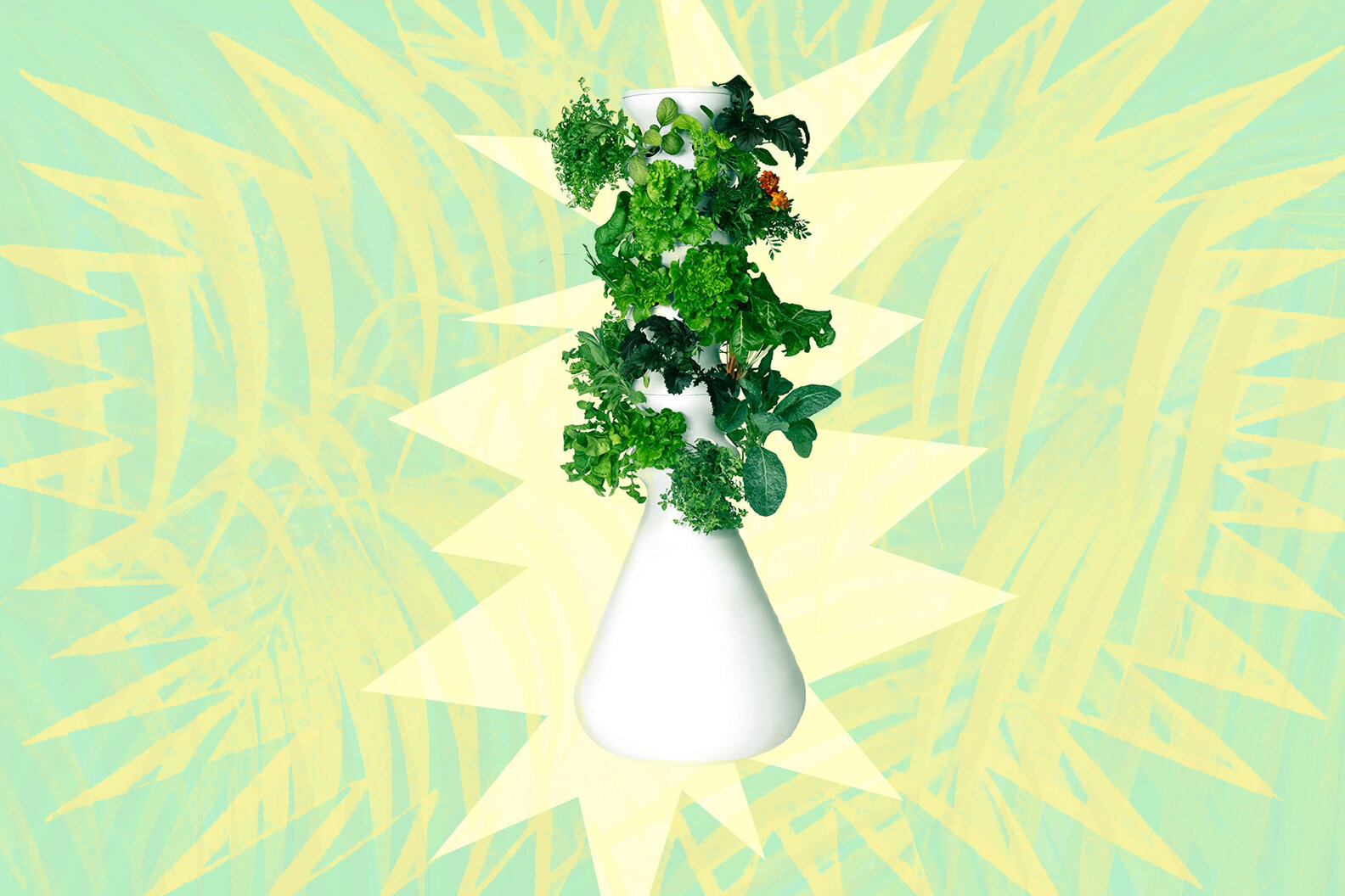 How to Grow Your Indoor Garden Best Things to Buy for Veggies & Herbs