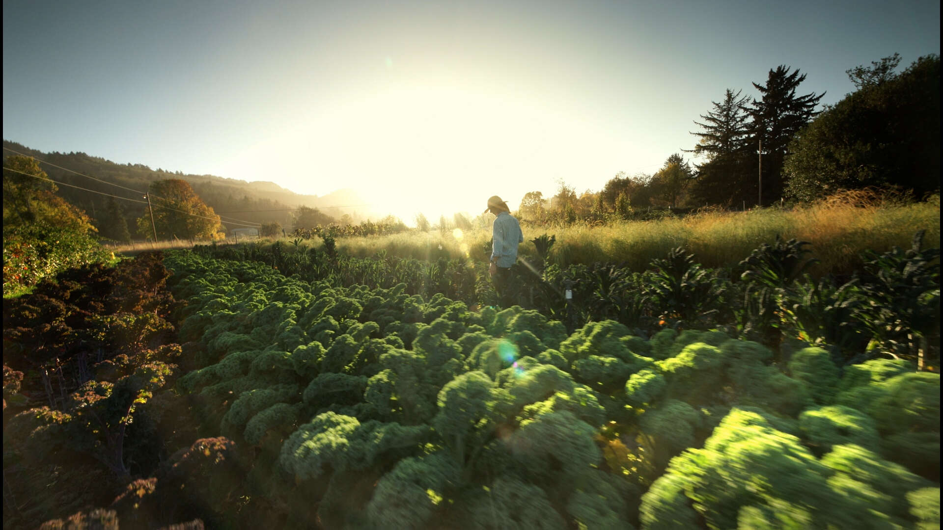 NowThis Kids: One Small Step’s Lucy Biggers on Recycling and Sustainability