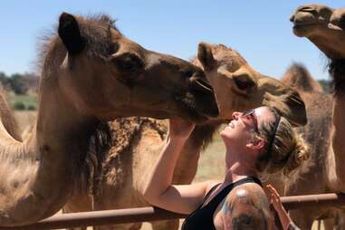 a woman petting a camel