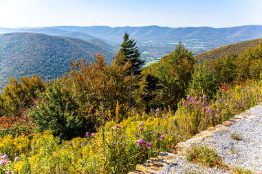 Mount Greylock